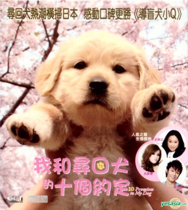 10 Promises To My Dog