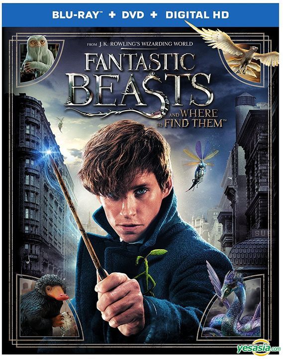 Yesasia Fantastic Beasts And Where To Find Them 16 Blu Ray Dvd Digital Hd Us Version Blu Ray Eddie Redmayne Katherine Waterston Warner Entertainment Japan Western World Movies Videos Free Shipping