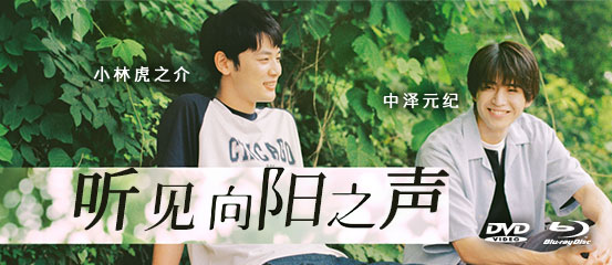听见向阳之声